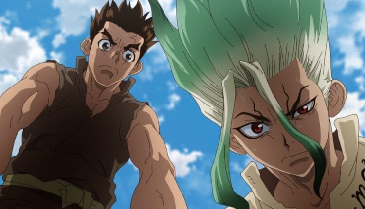 Dr. Stone