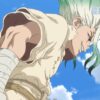 Dr. Stone