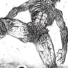 Imagem conceitual de Deus, entidade misteriosa que influencia os eventos do capítulo 204 de One Punch Man