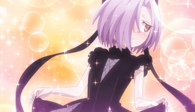 Ciel de The Stunned Hero and the Assassin Princesses