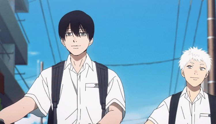 The Summer Hikaru Died