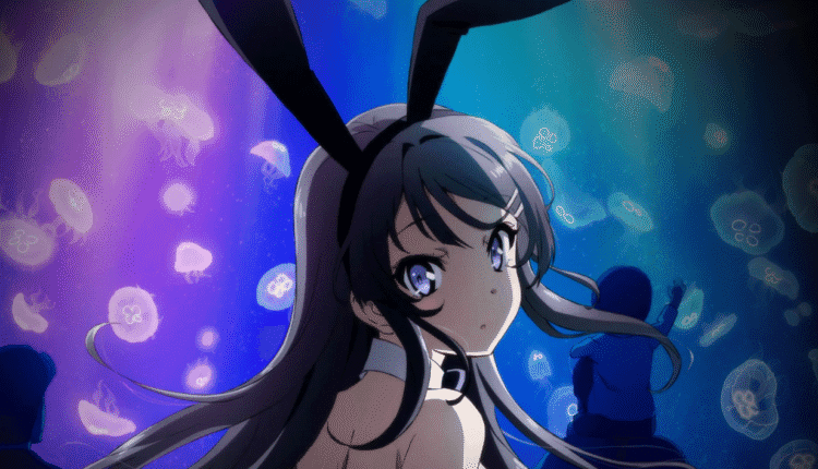 Rascal Does Not Dream of Santa Claus